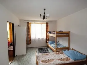 Dražba rodinného domu, Velká Losenice, 64 m2