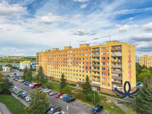 Pronájem bytu 3+1, Mladá Boleslav, 17. listopadu, 73 m2