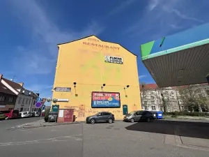 Prodej rodinného domu, Plzeň, Lindauerova, 776 m2