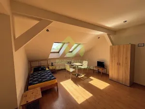 Prodej rodinného domu, Plzeň, Lindauerova, 776 m2