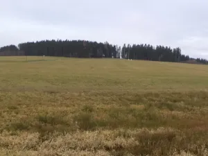 Prodej pole, Horní Planá, 39897 m2