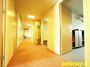 Pronájem kanceláře, Brno, Příkop, 20 m2