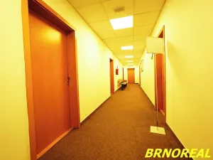 Pronájem kanceláře, Brno, Příkop, 20 m2