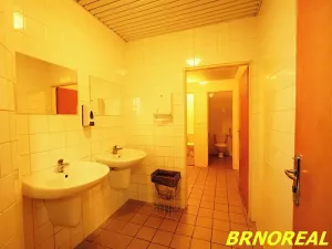 Pronájem kanceláře, Brno, Příkop, 20 m2