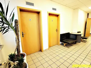 Pronájem kanceláře, Brno, Příkop, 20 m2