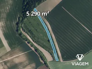 Prodej podílu pole, Klobouky u Brna, 1763 m2
