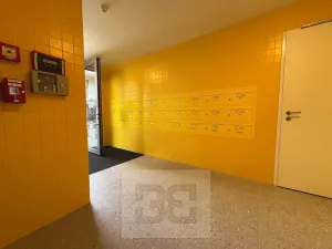Pronájem bytu 1+kk, Brno, Pod Kavkami, 40 m2