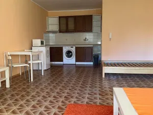 Pronájem bytu 1+kk, Praha - Újezd nad Lesy, Borovská, 35 m2