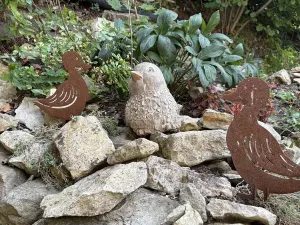 Pronájem rodinného domu, Březová nad Svitavou, Dlouhá, 70 m2