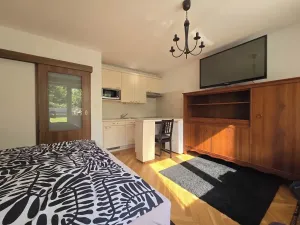 Prodej bytu 1+kk, Brno, Ukrajinská, 31 m2