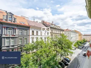 Pronájem bytu 2+kk, Praha - Vinohrady, Sázavská, 42 m2