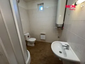 Pronájem bytu 1+kk, Mšené-lázně, Mládežnická, 21 m2