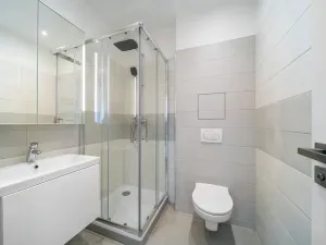 Prodej bytu 1+1, Brno, Cejl, 50 m2