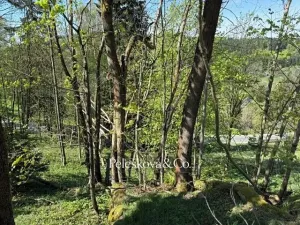 Prodej pozemku pro bydlení, Kořenov, 12296 m2
