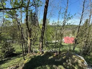 Prodej pozemku pro bydlení, Kořenov, 12296 m2