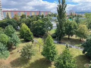 Pronájem bytu 1+kk, Praha - Záběhlice, Topolová, 31 m2