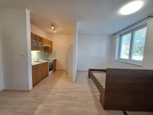 Pronájem bytu 1+kk, Brno, K Babě, 36 m2