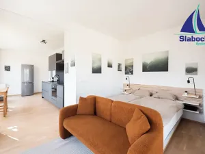Pronájem bytu 1+kk, Praha - Karlín, Breitfeldova, 63 m2