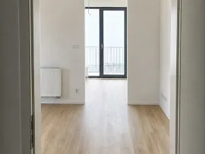 Pronájem bytu 2+kk, Plzeň, Železná, 47 m2