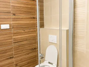 Pronájem bytu 2+kk, Plzeň, Železná, 47 m2