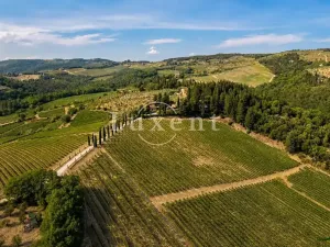 Prodej vily, Castellina in Chianti, Itálie, 1130 m2