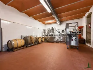 Prodej výrobních prostor, Castellina in Chianti, Itálie, 1130 m2
