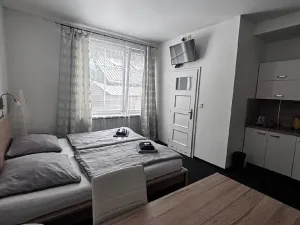 Pronájem bytu 1+kk, Ostrava, Zalužanského, 25 m2