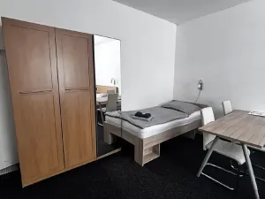 Pronájem bytu 1+kk, Ostrava, Zalužanského, 25 m2