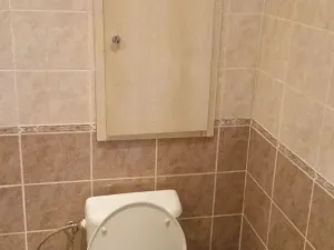 Pronájem bytu 1+kk, Brno, Zikova, 33 m2