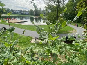 Prodej bytu 2+kk, Praha - Braník, Novodvorská, 43 m2