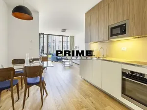 Pronájem bytu 2+kk, Praha - Smíchov, Holečkova, 76 m2