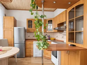 Pronájem bytu 1+1, Liberec, Haškova, 41 m2
