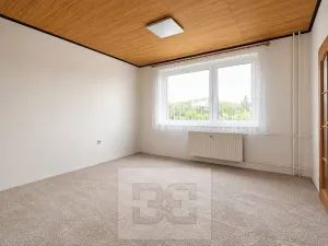 Pronájem bytu 1+1, Liberec, Haškova, 41 m2