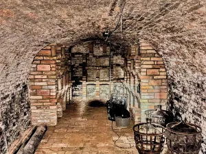 Prodej vinného sklepa, Mutěnice, Bůdy, 50 m2