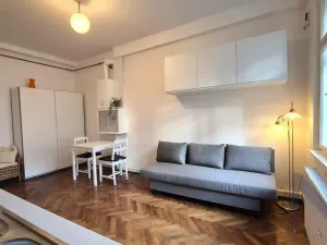 Pronájem bytu 1+kk, Praha - Libeň, V Holešovičkách, 20 m2