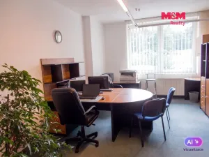 Pronájem obchodního prostoru, Frenštát pod Radhoštěm, Dolní, 53 m2