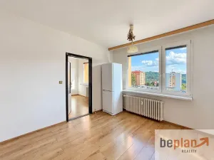 Pronájem bytu 1+1, Ústí nad Labem, Kmochova, 33 m2