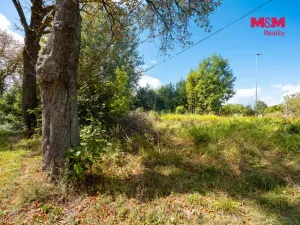 Prodej pozemku pro bydlení, Červená Voda, 2103 m2