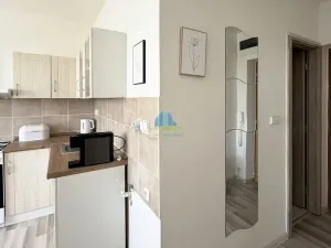 Pronájem bytu 1+1, Františkovy Lázně, Husitská, 35 m2