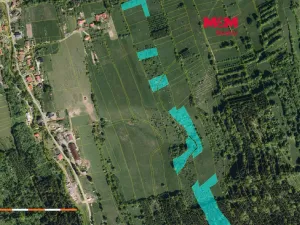 Prodej louky, Nový Hrozenkov, 12835 m2