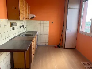 Prodej bytu 1+1, Bělá pod Bezdězem, Máchova, 41 m2
