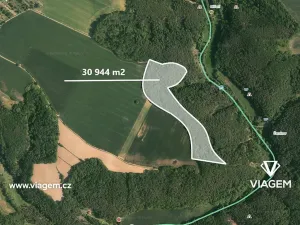 Prodej podílu lesa, Kokořín, 7736 m2