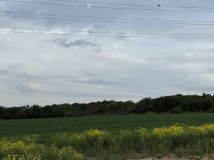 Prodej pozemku pro bydlení, Panenské Břežany, Vilová, 822 m2