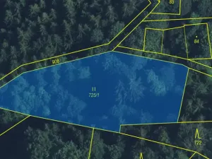 Prodej louky, Strážná, 2049 m2