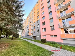 Pronájem bytu 1+1, Rychnov nad Kněžnou, Mírová, 40 m2