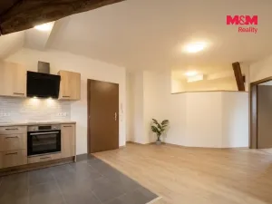 Pronájem bytu 3+kk, Bor, Školní, 55 m2