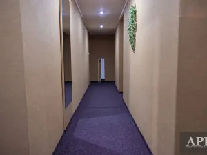 Prodej ubytování, Luhačovice, Masarykova, 420 m2