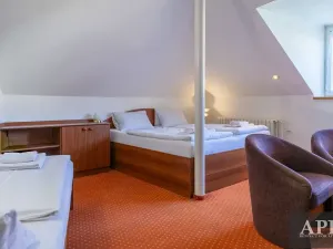 Prodej apartmánu, Luhačovice, Masarykova, 420 m2