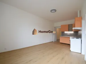 Pronájem bytu 2+kk, Praha - Nusle, Žateckých, 58 m2