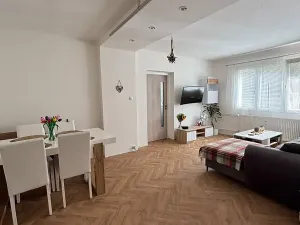 Pronájem bytu 2+1, Plzeň, Ke Špitálskému lesu, 60 m2